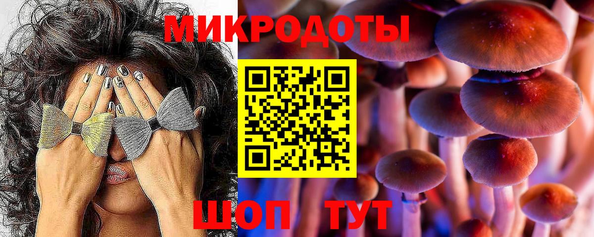 Галлюциногенные грибы GOLDEN TEACHER  Вход с VPN  Саяногорск 